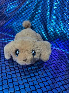 - Light Brown Cuddly dog little live pets, barks